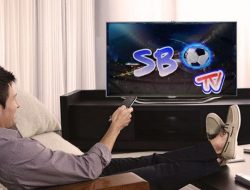 Cara Download Aplikasi SBO TV, Bisa Live Streaming Bola Gratis dengan Mudah