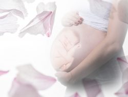 5 Aplikasi Detak Jantung Janin Untuk Ponsel