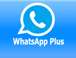 Beberapa Fungsi Whatsapp Plus Terbaru 2023