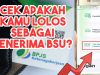 Cara Cek BSU Secara Online Dengan Mudah