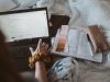 Cara Mengirim Folder Lewat Email Menggunakan Laptop dan HP