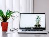 Ternyata Inilah Aplikasi Menggabungkan Foto Menjadi Satu di PC, Hasil 100% Cantik