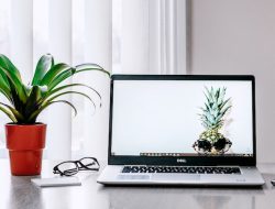Ternyata Inilah Aplikasi Menggabungkan Foto Menjadi Satu di PC, Hasil 100% Cantik