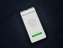 Rekomendasi Aplikasi Untuk Melihat Pesan WA Yang Dihapus Beserta Langkah Penggunaannya