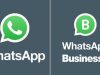 10 Perbedaan Aplikasi Whatsapp Beta Dan Whatsapp Business