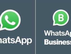 10 Perbedaan Aplikasi Whatsapp Beta Dan Whatsapp Business