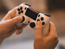 Tutorial Cara Memainkan Free Fire di PC Tanpa Emulator yang Benar