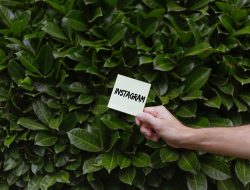 Cara Membuat Puzzle Feed Instagram Mudah Terupdate