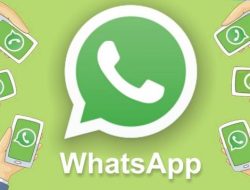 5 Cara Menonaktifkan Wa Sementara Dan Manfaatnya