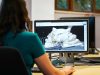Rekomendasi Software Pembuat Logo 3D Terbaik