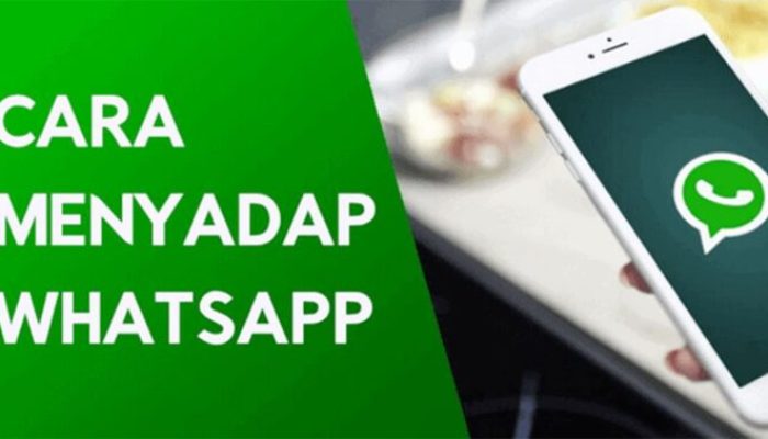 Inilah Deretan Cara Sadap Whatsapp Supaya Rasa Curiga Hilang