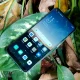 Terupdate! Review Oppo A33, Harga dan Spesifikasi