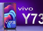 Lebih Terjangkau, Cek Spesifikasi Lengkap HP Vivo Y73