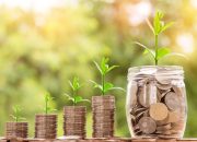 5 Peluang Bisnis Menguntungkan di Era Digital