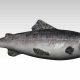 Review & Sinopsis “Salmon 3D (2023)”