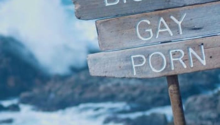 Review & Sinopsis “Big Sur Gay Porn (2023)”