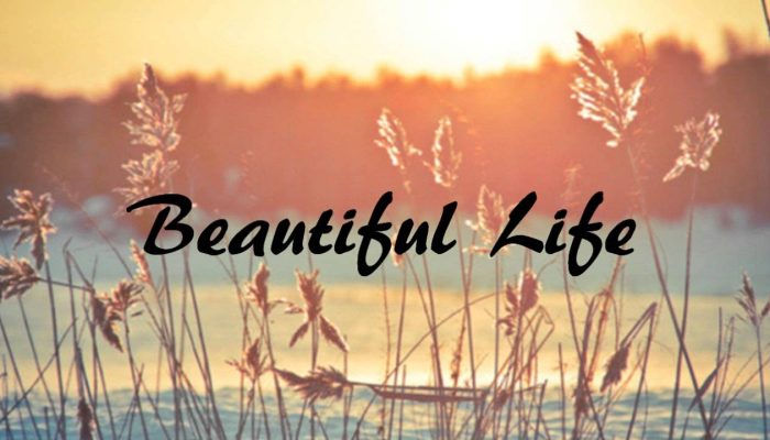 Review & Sinopsis Film “A Beautiful Life (2023)”