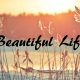 Review & Sinopsis Film “A Beautiful Life (2023)”