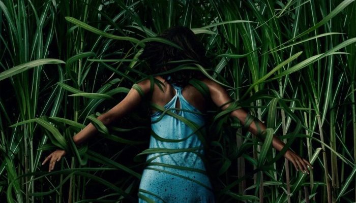 Nonton in the tall grass, sebuah film misteri yang menegangkan