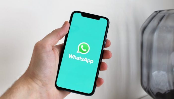 2 Cara Mendownload Whatsapp Aero Lewat Ponsel dan Laptop