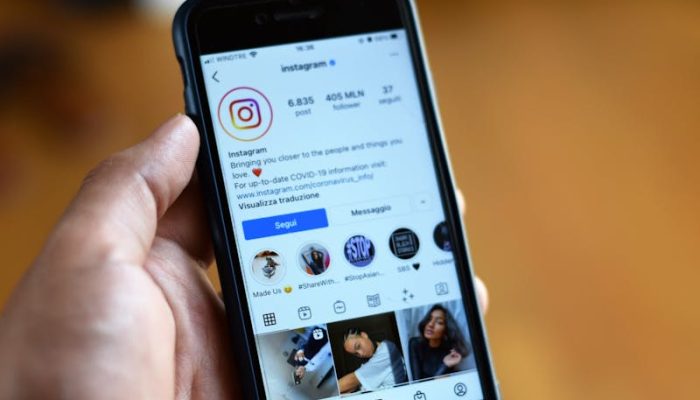 4 Cara Mengambil Foto Di Ig Tanpa Aplikasi dengan Situs Downloader