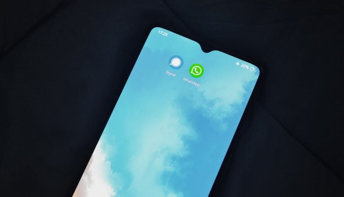 3 Cara Menghapus Aplikasi Bawaan Oppo, Solusi Ruang Penyimpanan Hampir Penuh