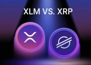 XRP vs XLM: Siapa yang Lebih Unggul? Berikut Analisis Mendalamnya