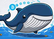 Strategi Manipulasi Pasar Kripto yang Perlu Dipahami dari Para Whale