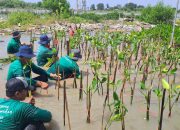LindungiHutan: Platform Kolaborasi bagi Perusahaan untuk Melaksanakan Penghijauan dan Mitigasi Perubahan Iklim
