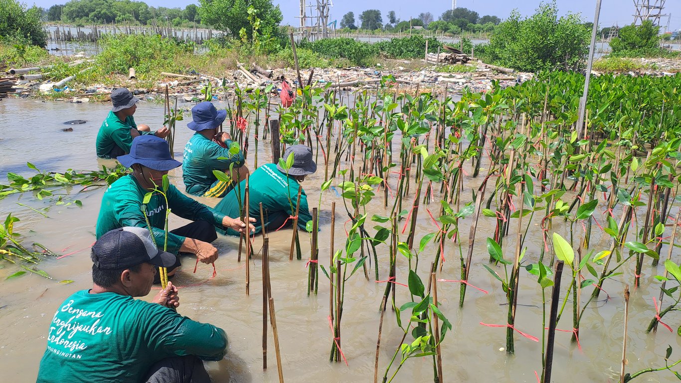 LindungiHutan: Platform Kolaborasi bagi Perusahaan untuk Melaksanakan Penghijauan dan Mitigasi Perubahan Iklim