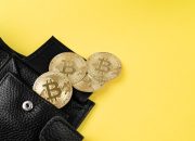 4 Alasan Mengapa Anda Harus Memulai Penggunaan Dompet Crypto Indonesia untuk Mengelola Aset Digital Anda