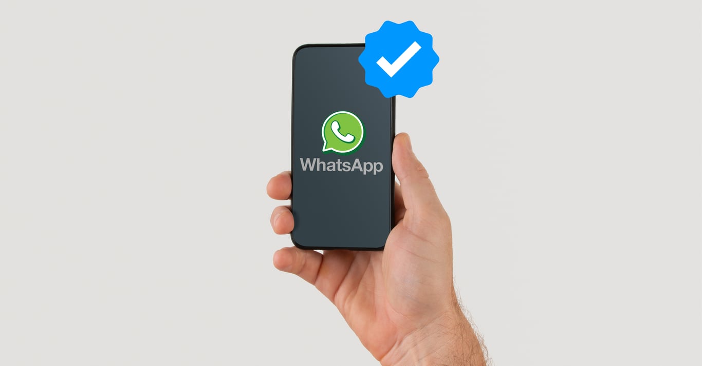 Kapan Bisnis Harus Memanfaatkan Centang Biru di WhatsApp?