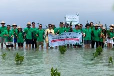 CSR Berkembang: Corporatree Lindungi Hutan Raih Minat 590 Perusahaan Peduli Lingkungan