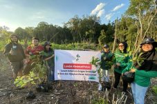 Mendorong Keterlibatan Merek: LindungiHutan Permudah Akses Kolaborasi Ramah Lingkungan