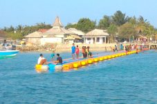 Dermaga Apung: Solusi Cerdas untuk Menghadapi Pasang Surut Laut di Indonesia? Simak Faktanya!