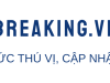 VRITIMES Meluncurkan vnbreaking.vn, Platform Media Khusus Untuk Menyampaikan Berita Terbaru dari Vietnam