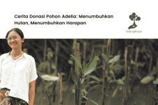 Aksi Adelia: Sumber Inspirasi untuk Gerakan Menanam Pohon