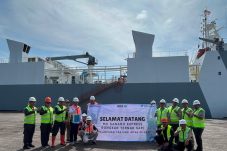 Pelindo Multi Terminal Tanjung Intan Mengelola Bongkar Muat 1.213 Ekor Sapi Perah Impor
