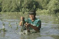 22 Mei: Lindungi Hutan Menyoroti Pentingnya Melestarikan Habitat untuk Masa Depan Alam