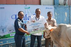 Pelindo Multi Terminal Group Salurkan 90 Ekor Hewan Qurban di Area Pelabuhan