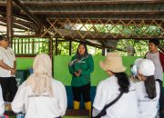LindungiHutan: Memfasilitasi CSR Lingkungan melalui Edukasi dan Rehabilitasi Ekosistem
