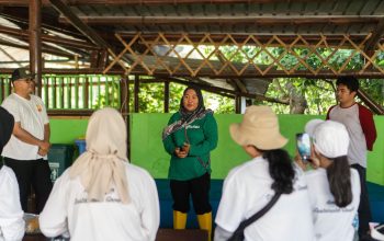 LindungiHutan: Memfasilitasi CSR Lingkungan melalui Edukasi dan Rehabilitasi Ekosistem