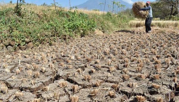 Mengatasi Krisis Air di Pedalaman: Solusi untuk Masa Depan.