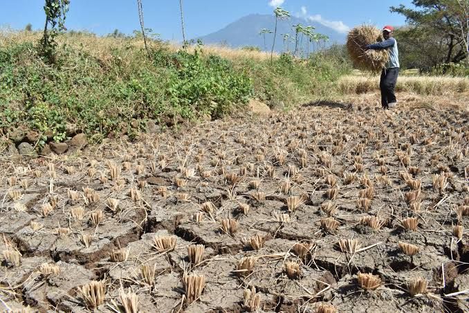 Mengatasi Krisis Air di Pedalaman: Solusi untuk Masa Depan.