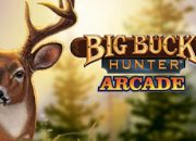 Download Big Buck Hunter Arcade PKG PS4