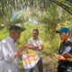 REA Berdayakan Lebih dari 600 Petani Swadaya di Kalimantan Timur untuk Kepatuhan EUDR dan Sertifikasi RSPO dengan Dukungan Teknis dari KOLTIVA