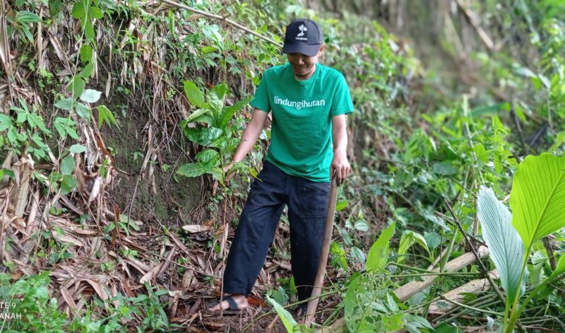 Tiga Lokasi Penanaman Paling Mendesak Tahun Ini: Wonogiri, Cilacap, Mempawah Tiga Lokasi Penanaman Paling Mendesak Tahun Ini: Wonogiri, Cilacap, Mempawah