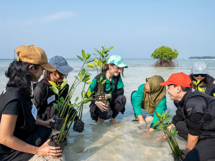 Cinta Laura dan LindungiHutan Kolaborasi Selamatkan Pulau Pari Lewat Penanaman 739 Pohon Mangrove Cinta Laura dan LindungiHutan Kolaborasi Selamatkan Pulau Pari Lewat Penanaman 739 Pohon Mangrove
