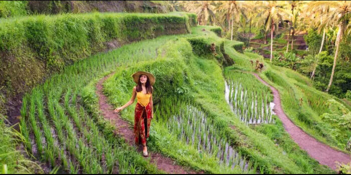 Bali Sun Tours Luncurkan Portofolio Pengalaman 2025 dan Pemesanan Langsung Bali Sun Tours Luncurkan Portofolio Pengalaman 2025 dan Pemesanan Langsung
