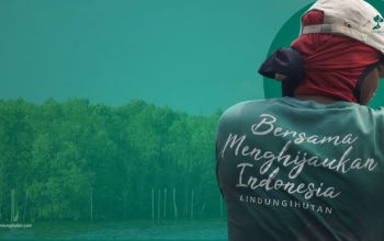 Deforestasi Indonesia Meningkat di 2024, Perusahaan Didorong Perkuat CSR Lingkungan